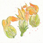 Corgette_Flowers