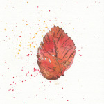 Leaf13