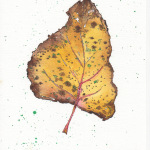 Leaf19